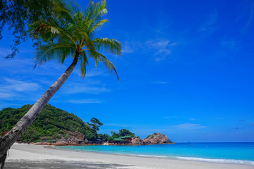 Fototapeta na wymiar Coconut tree and beautiful blue beach at Redang Island, Malaysia