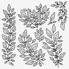 Set of Doodle Vector Leaves and Floral Elements for Stickers, Backgrounds, Patterns on clothes, backpacks and other.