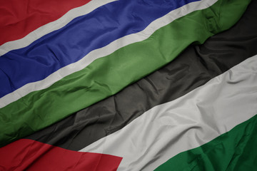waving colorful flag of palestine and national flag of gambia.