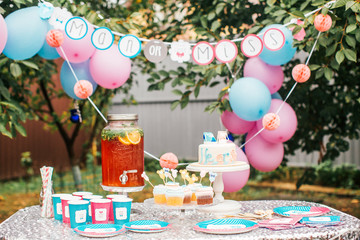 Boy or girl cake and different treats for baby shower party on table outdoors