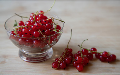 Juicy and ripe red currants in a small glass bowl, a cup stands on a light wooden background. Nearby are several branches of currant