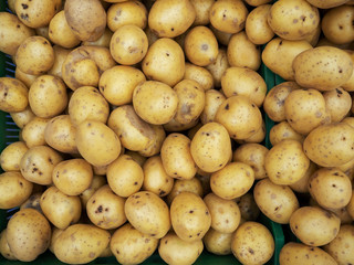 Fresh ripe not very large organic potatoes