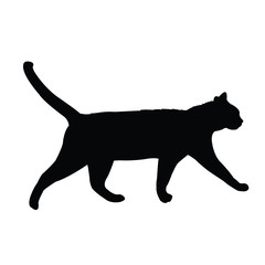 a cat  body silhouette vector