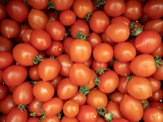 Background of red tomatoes. Group of tomatoes