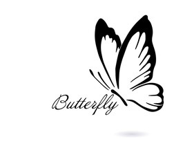 Fototapeta na wymiar Logo abstract butterfly. Vector illustration