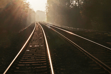 Fototapeta na wymiar Railway Tracks in the Sunlight