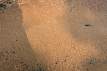 sea sand on the coastline of the sea