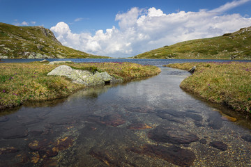 Fototapeta na wymiar Low angle view of Rila mountain creek with transparent water and red rocks, flowing in to the lake, sunlit landscape and purple flowers