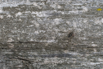 Old gray-brown natural wood background in the form of a board with cracks, knots and a rough surface