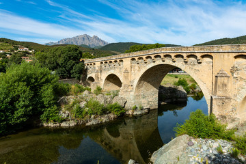 Ponte medievale in Corsica centrale