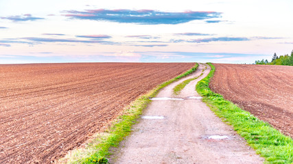 Country road in rural agricultural landscape. Red soil fields around Nova Paka, Czech Republic - obrazy, fototapety, plakaty