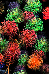 Bursting Blooms in Neon Colors