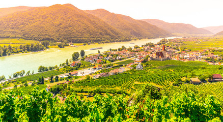 Fototapeta na wymiar Sunny day in Wachau Valley. Landscape of vineyards and Danube River at Weissenkirchen, Austria