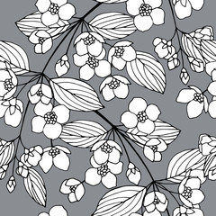 seamless pattern with jasmine flowers