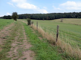 Weg (Lehmjöresweg in Stolberg-Vicht)