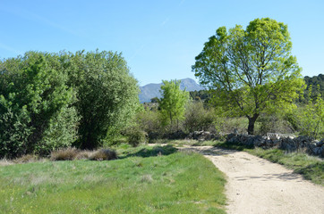 Sendero