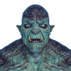 orc warrior id picture