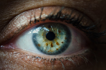 Female green eye detail with strong look	