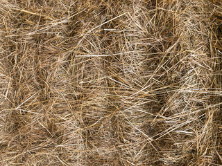 Hay background. Hay in the village closeup texture