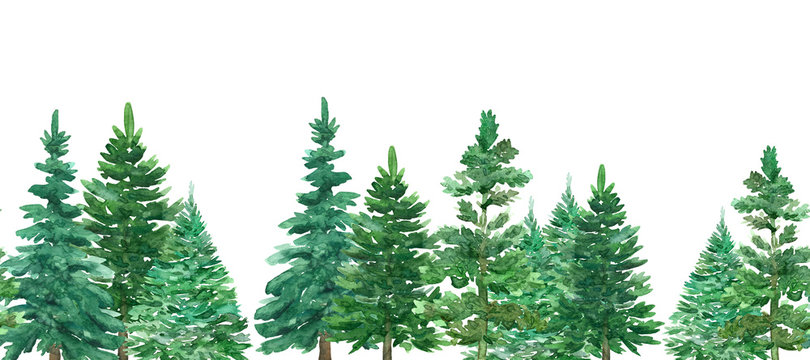 Seamless border of watercolor Christmas green trees. Spruce and holiday tree. Hand-drawn illustration.