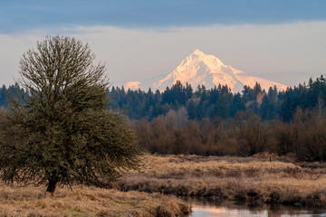 Snowpacked Mount Hood in Fall/Winter sunset