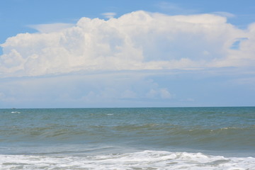 Birds, Waves and fishing a Day on the Beach