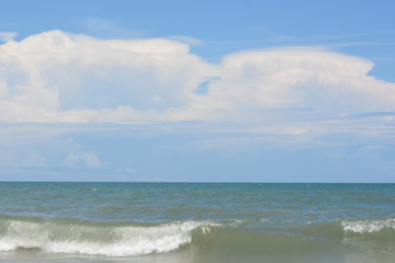 Birds, Waves and fishing a Day on the Beach