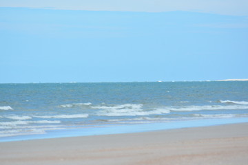 Birds, Waves and fishing a Day on the Beach