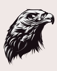 Eagle Illustration