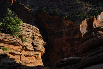 Sandstone outcropping at Canyon Overlook area of Zion National Park, Utah.