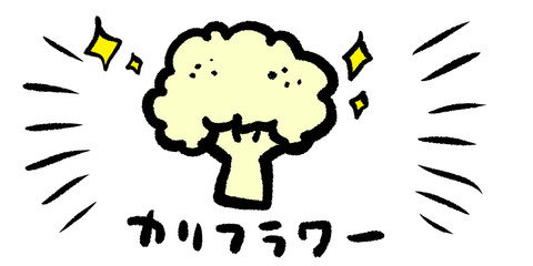 カリフラワー 素材 秋 食欲 食材 シンプル 手書き アナログ 