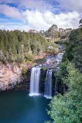 Fototapeta na wymiar Dangar Falls waterfall way Coffs Harbour to Armidale new South Wales Australia