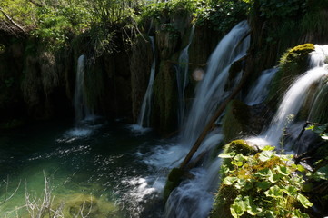 Naklejka premium Plitvice Lakes National Park