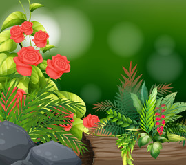 Background scene with nature theme