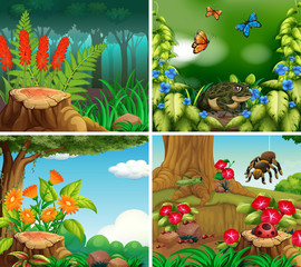 Set of background scene with nature theme