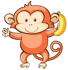 Monkey and banana on white background