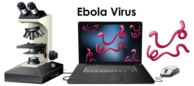 Close up isolated object of virus Ebola virus