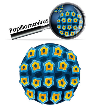 Close up isolated object of virus Papillomavirus