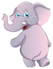 Gray elephant on white background