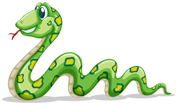 Green snake crawling on white background