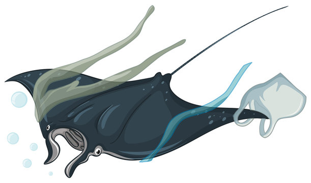 Stingray and plastic bags on white background