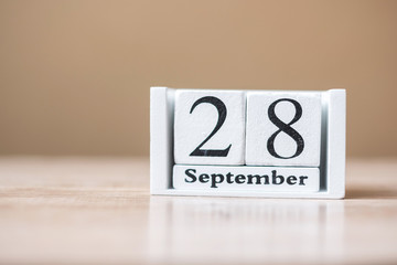 28 September of calendar wooden on table, World rabies day and world retina day concept