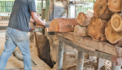 Carpenter cutting woods and logs with band saw in wood factory or sawmill into pieces. Wood industry concept.