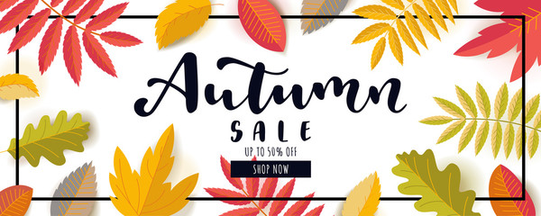 Autumn Sale promotion banner. Up to 50 percent discount offer. Bright warm colors design with a frame. Scattered colorful falling autumn leaves. Vivid juicy colors. Bouncy lettering. Vector - obrazy, fototapety, plakaty