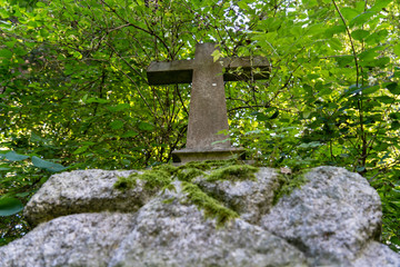 Schwarzwald im Hochsommer