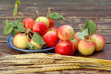 Blue saucer with red yellow apples with green foliage, scattered apples around it and bunch of ears of ripe wheat yellow grains on old wooden board surface 