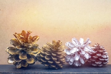 Pine cone on light background for Christmas holiday