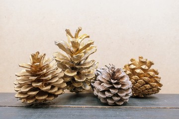 Pine cone on light background for Christmas holiday