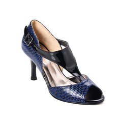 shoe or woman shoe on a background new.