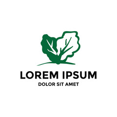 Kale vegetable simple flat logo design